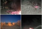 قطع و آتش زدن درختان جنگلی با هدف تصرف اراضی ملی در منطقه فردوسیه آزادگان   