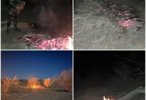 قطع و آتش زدن درختان جنگلی با هدف تصرف اراضی ملی در منطقه فردوسیه آزادگان   